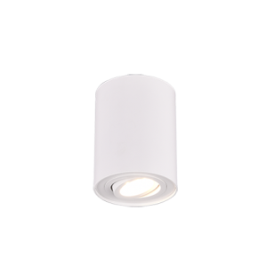 TRIO enojni stropni reflektor COOKIE, 1xGU10, max. 35W, BELA